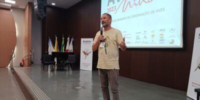 Avistar Minas 2025