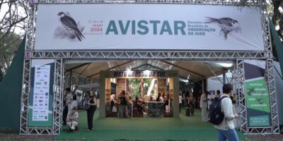 Avistar São Paulo 2025